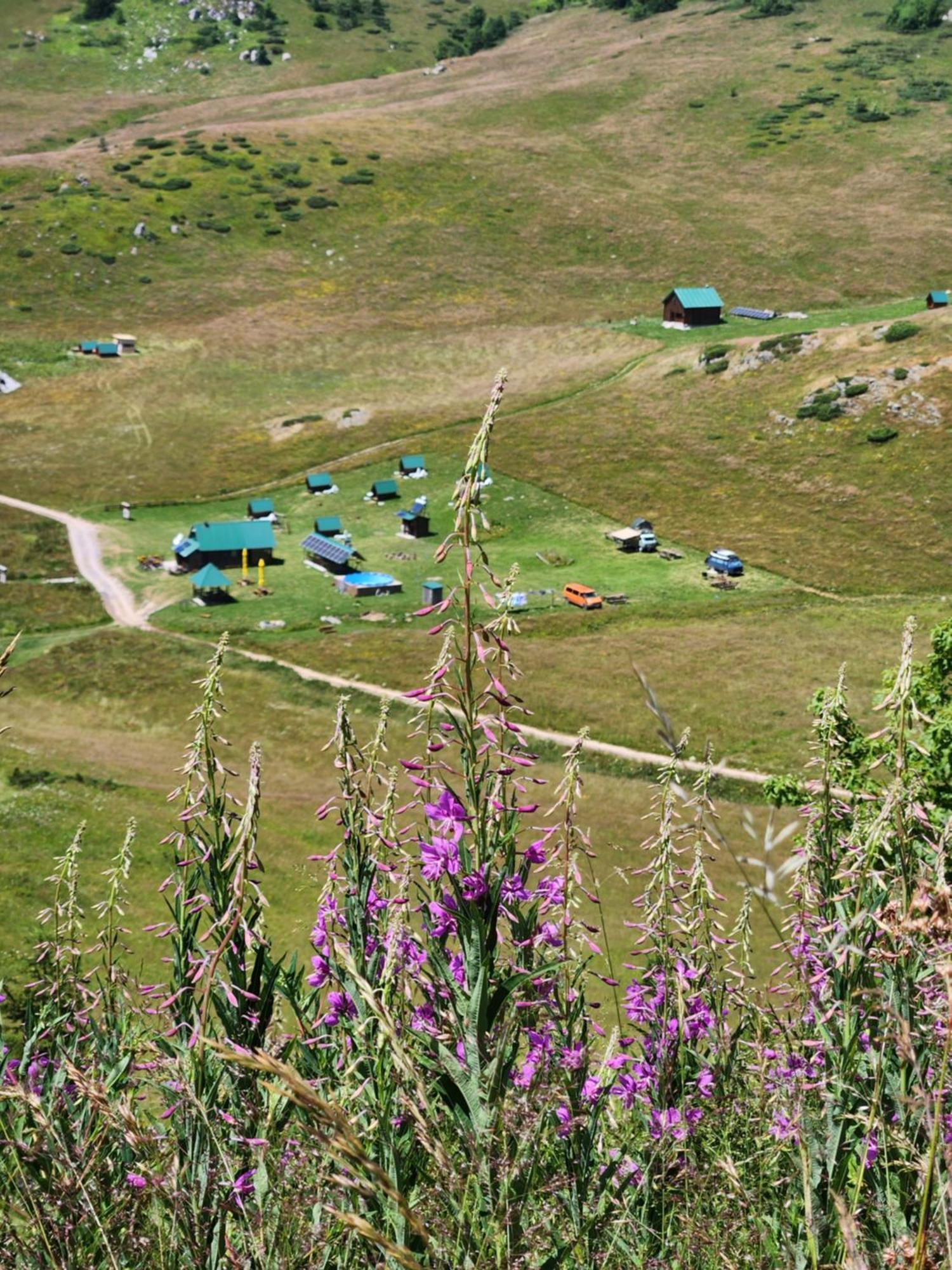 Rural Household Janketic Kolašin Esterno foto