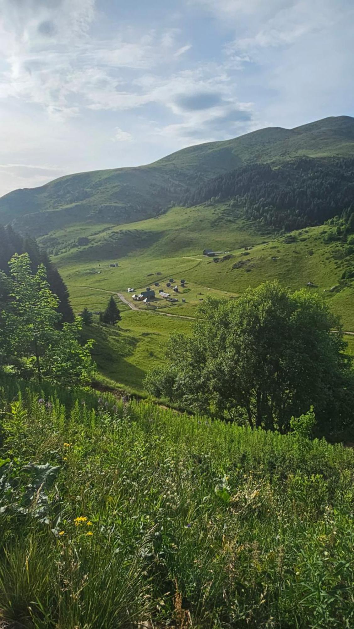 Rural Household Janketic Kolašin Esterno foto